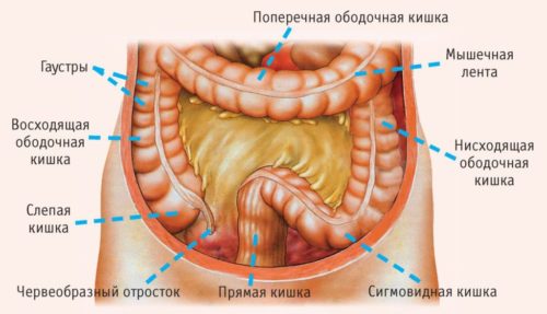Как возникает и лечится непроходимость кишечника Непроходимости кишечника