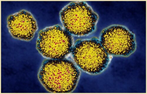 Определение вирусной нагрузки при гепатите С