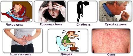 Симптомы и признаки брюшного тифа, лечение